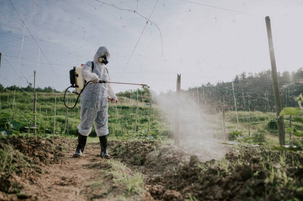 Best Affordable Exterminators  in Royersford, PA
