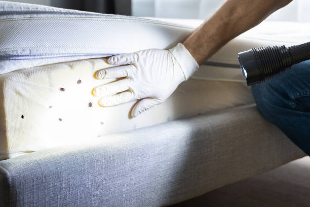 Best Affordable Pest Control Services  in Royersford, PA