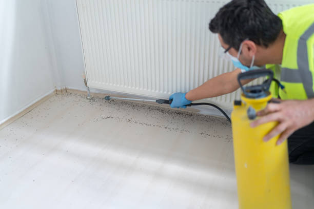 Best Ant Control Services  in Royersford, PA