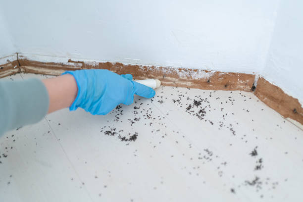 Best Pest Removal Services  in Royersford, PA